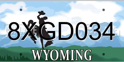8XGD034 Wyoming License Plate