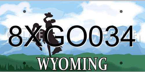 8XGO034 Wyoming License Plate