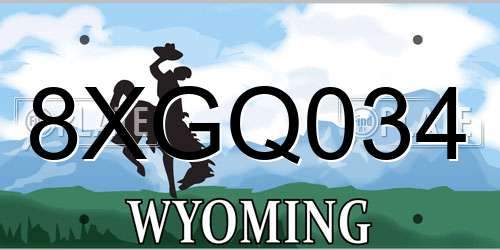 8XGQ034 Wyoming License Plate