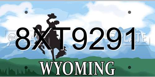 8XT9291 Wyoming License Plate