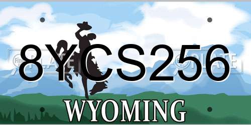 8YCS256 Wyoming License Plate