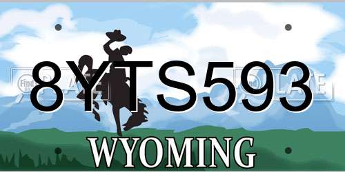 8YTS593 Wyoming License Plate