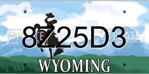 8Z25D3 Wyoming License Plate