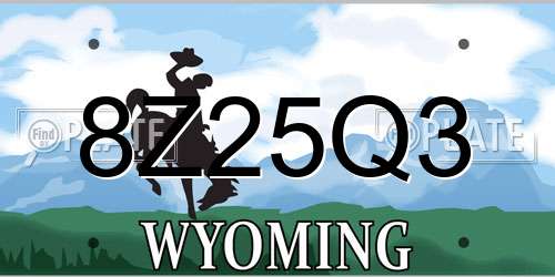 8Z25Q3 Wyoming License Plate