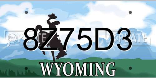 8Z75D3 Wyoming License Plate