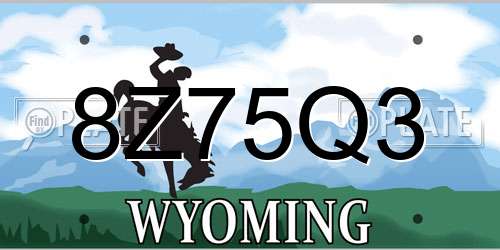 8Z75Q3 Wyoming License Plate