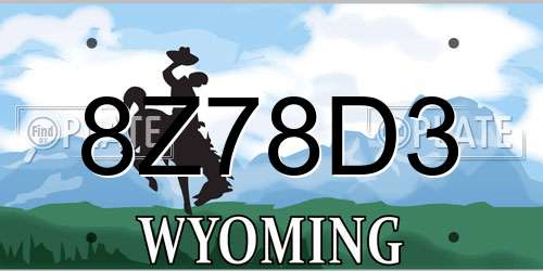 8Z78D3 Wyoming License Plate