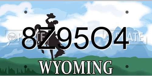8Z95O4 Wyoming License Plate
