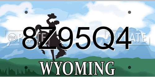 8Z95Q4 Wyoming License Plate