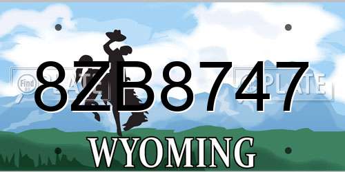 8ZB8747 Wyoming License Plate