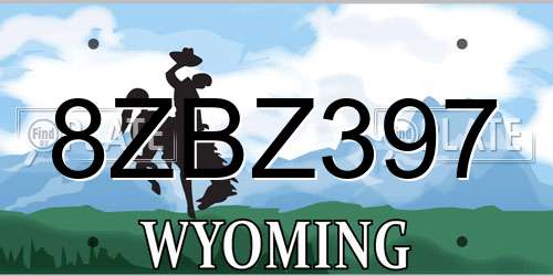 8ZBZ397 Wyoming License Plate