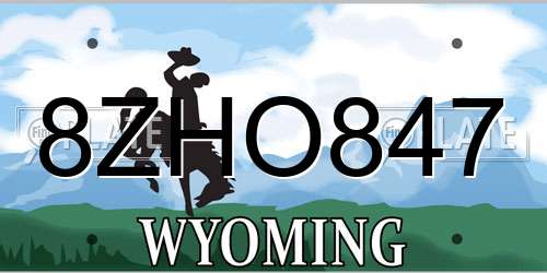 8ZHO847 Wyoming License Plate