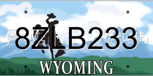 8ZLB233 Wyoming License Plate