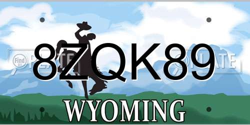 8ZQK89 Wyoming License Plate