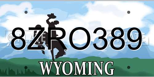 8ZRO389 Wyoming License Plate