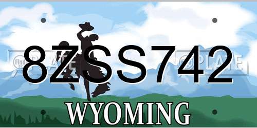 8ZSS742 Wyoming License Plate