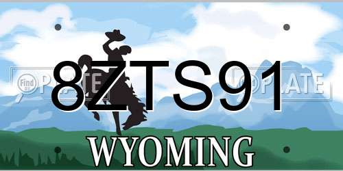 8ZTS91 Wyoming License Plate