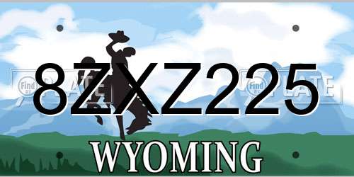 8ZXZ225 Wyoming License Plate