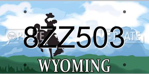 8ZZ503 Wyoming License Plate