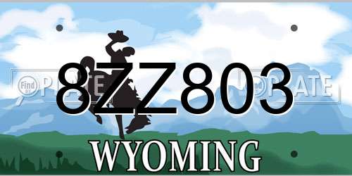 8ZZ803 Wyoming License Plate