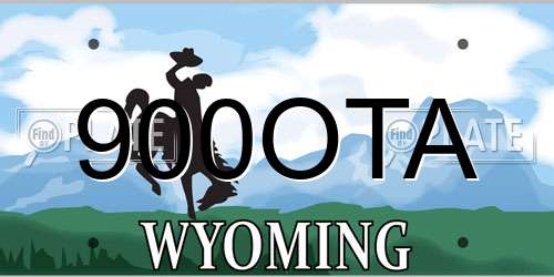 900OTA Wyoming License Plate