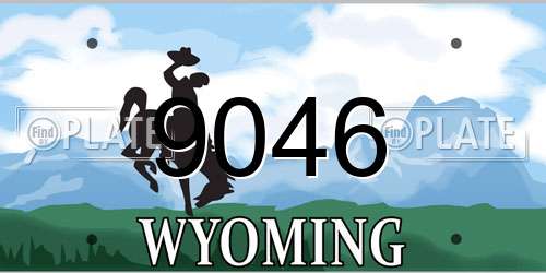 9046 Wyoming License Plate