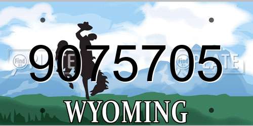 9075705 Wyoming License Plate