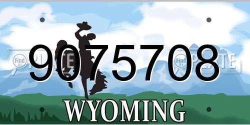 9075708 Wyoming License Plate