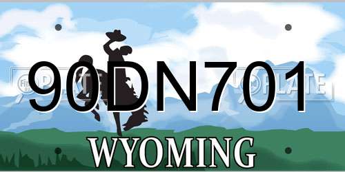 90DN701 Wyoming License Plate