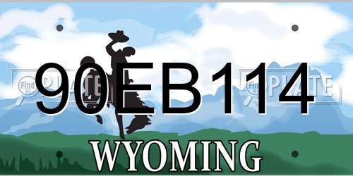 90EB114 Wyoming License Plate