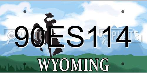 90ES114 Wyoming License Plate