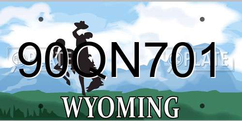 90QN701 Wyoming License Plate