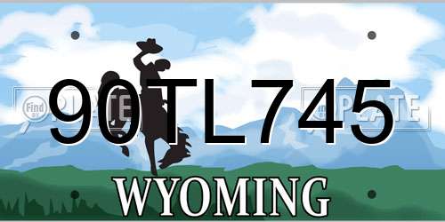 90TL745 Wyoming License Plate
