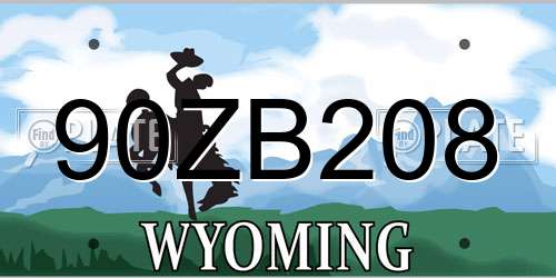 90ZB208 Wyoming License Plate