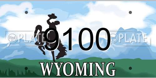 9100 Wyoming License Plate