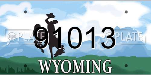 91013 Wyoming License Plate