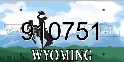 910751 Wyoming License Plate