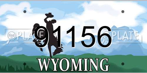 91156 Wyoming License Plate