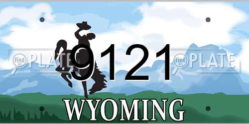 9121 Wyoming License Plate