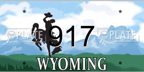 917 Wyoming License Plate