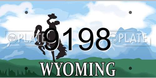 9198 Wyoming License Plate