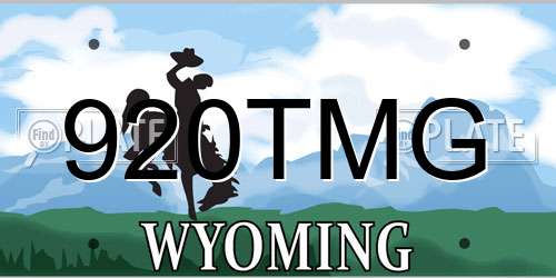 920TMG Wyoming License Plate