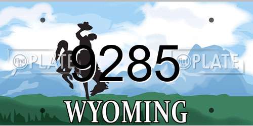 9285 Wyoming License Plate