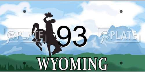 93 Wyoming License Plate