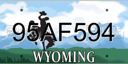 95AF594 Wyoming License Plate
