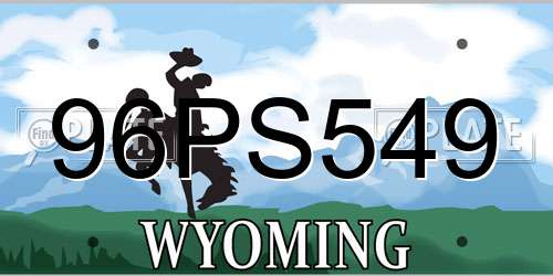 96PS549 Wyoming License Plate