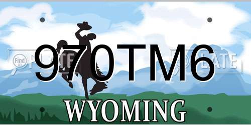 970TM6 Wyoming License Plate