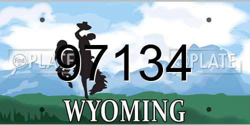 97134 Wyoming License Plate