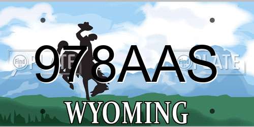 978AAS Wyoming License Plate
