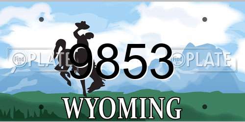 9853 Wyoming License Plate